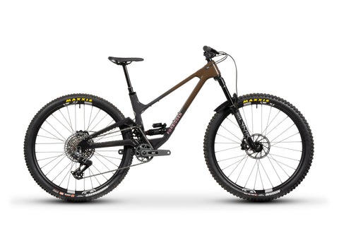 Forbidden Druid Build 2 - GX AXS T-Type - Chocolate Starfish - 29er Rear